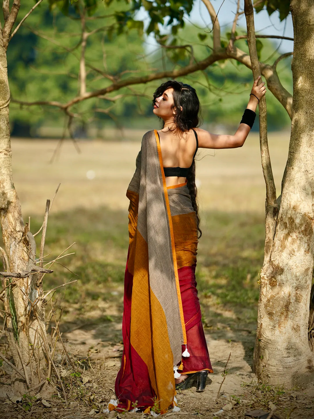 MultiColor Premium Mol Cotton Solid Saree For Women